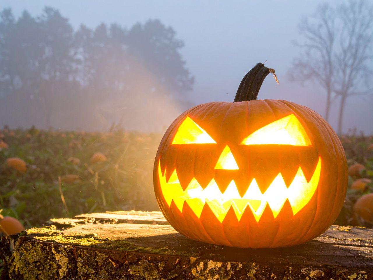 stingy-jack-jackolantern-fremhevet-bilde